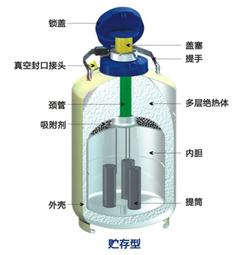 成都金凤贮存型液氮罐结构特点